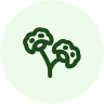 Rhodiola